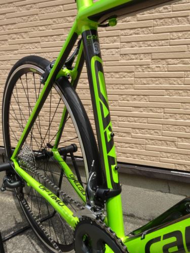 2017' Cannondale CAAD OPTIMO TIAGRA -(新潟の自転車のプロ